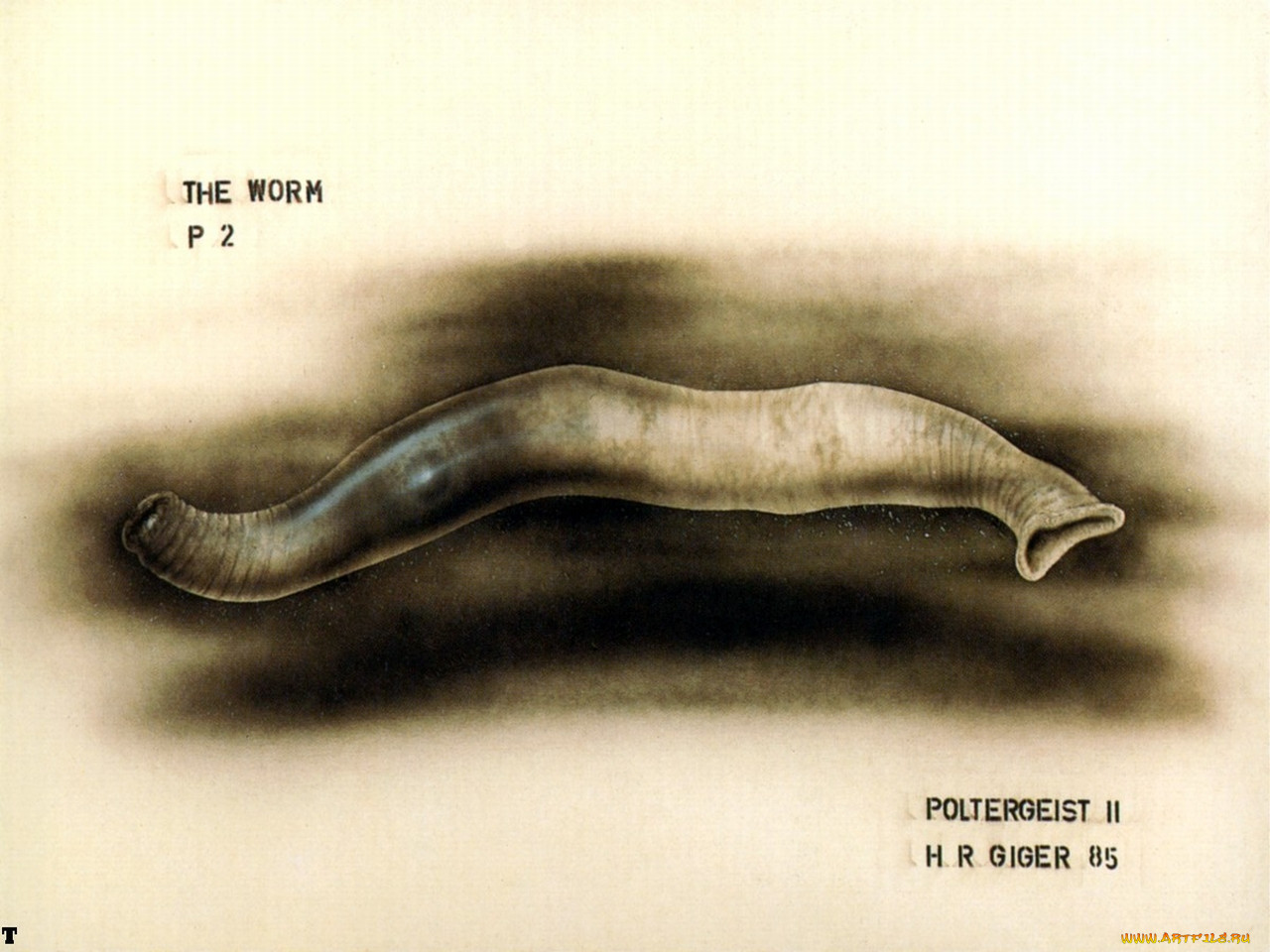 , giger